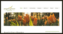 Desktop Screenshot of angelsgracehospice.com